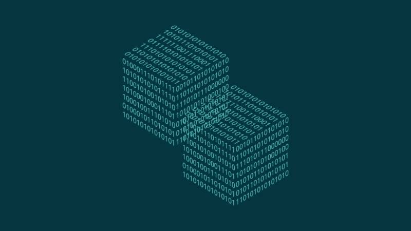 东兴市信创改造:网络应用开发流程标准化的核心路径与实践